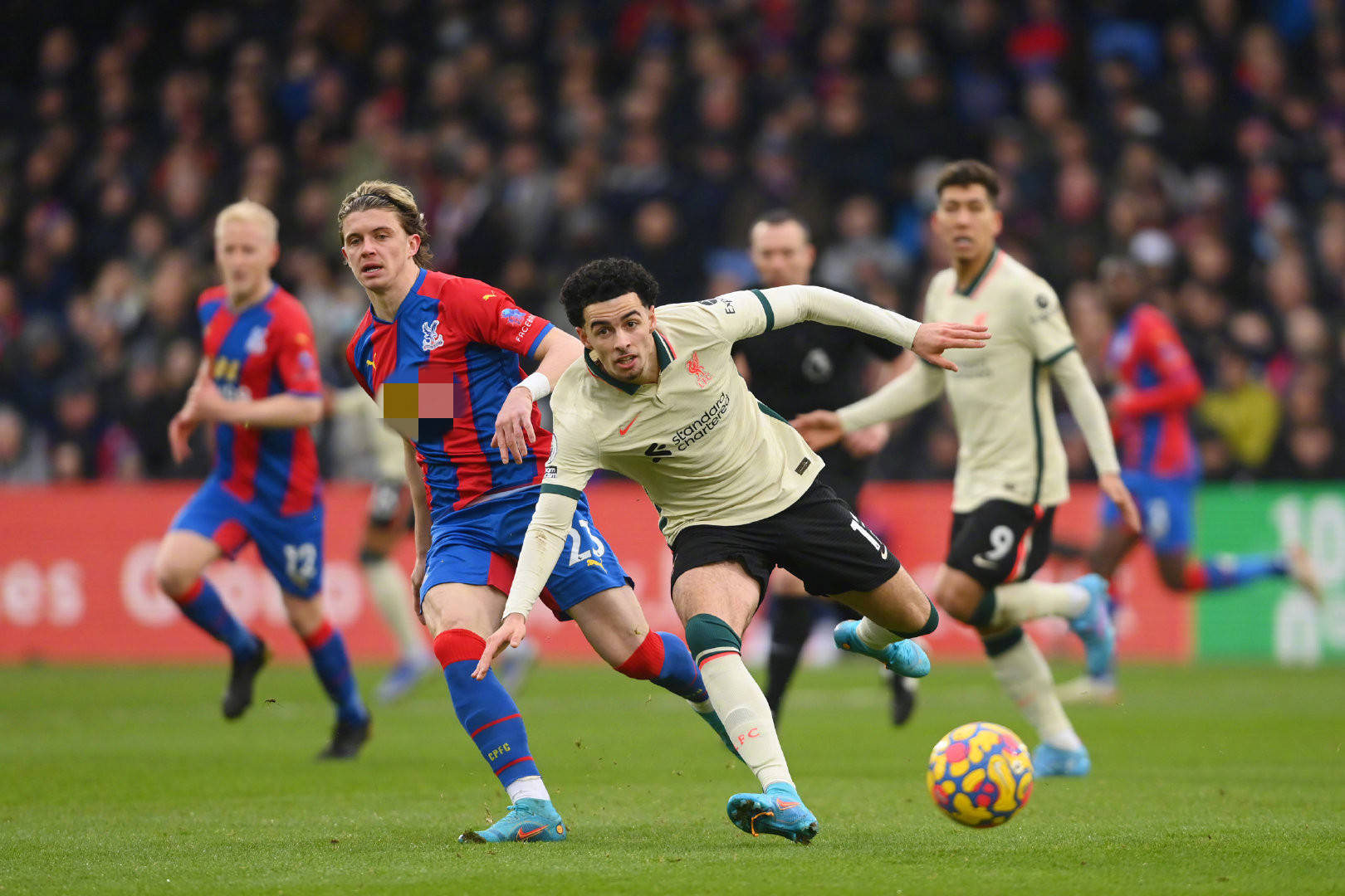 生涯已经经 生涯已经经